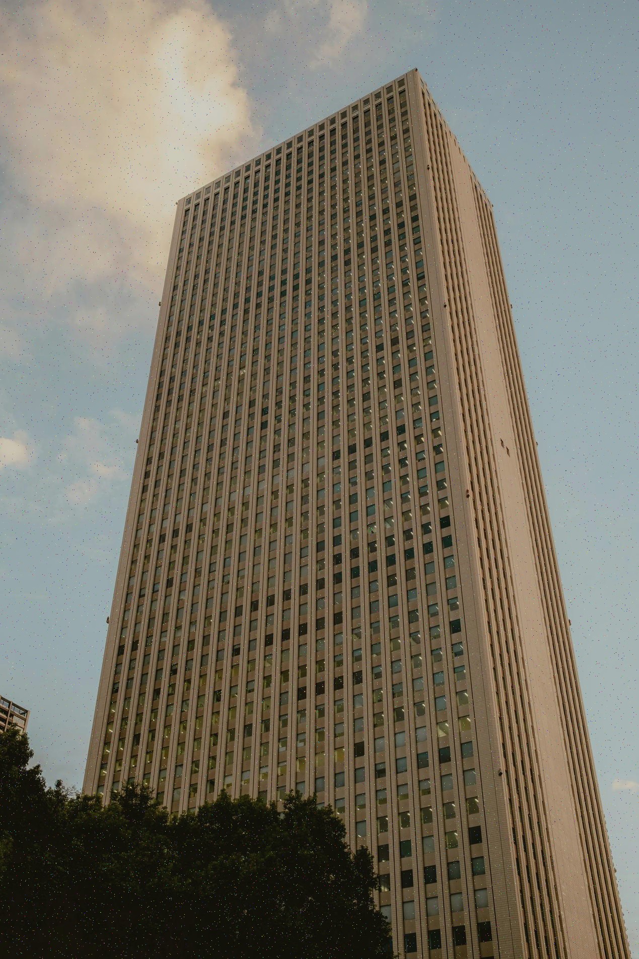 Esettanulmány